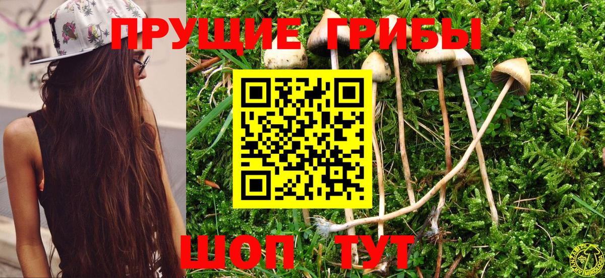 Галлюциногенные грибы MAGIC MUSHROOMS Щёкино